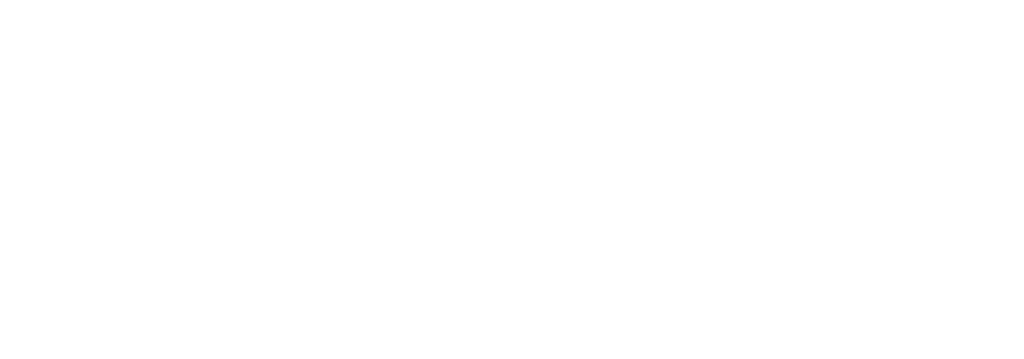 bodyg